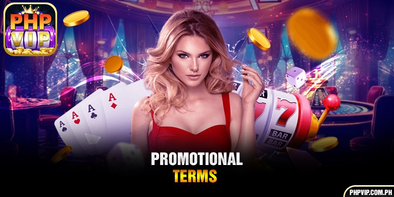 Promotional terms
